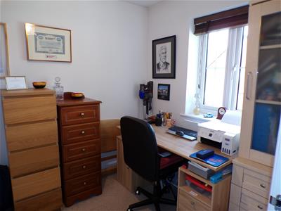 Picture 11